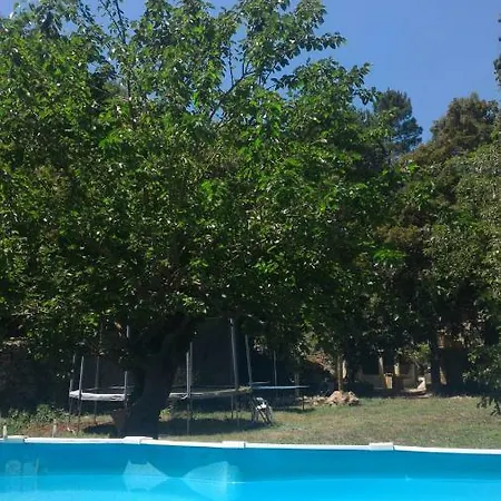 Sylva 3*