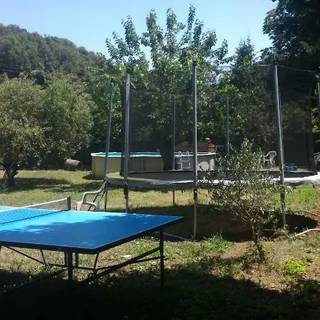 Sylva *