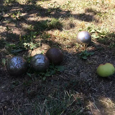 Sylva ゲストハウス 3*