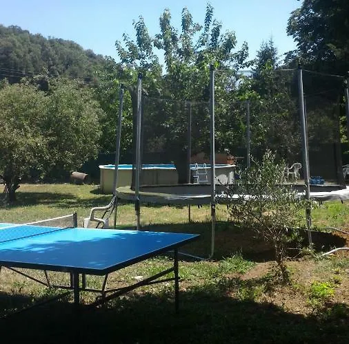 Sylva 3*